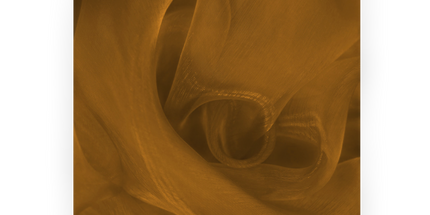 Organza Gold / Brownish