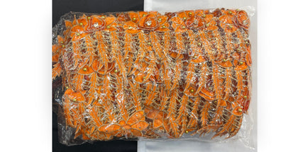 Floral Lace Trimmings Pack - Orange / Gold