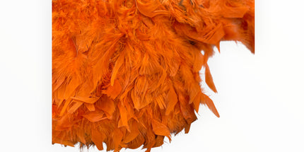 🪶 Dry Feather Trim – Deluxe - Orange