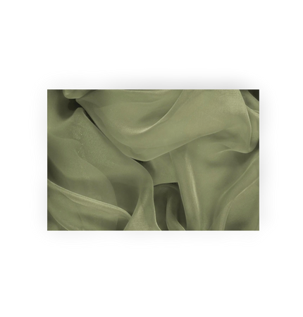 Organza Olive Green